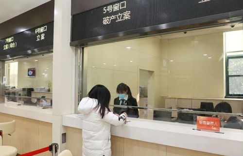 上海浦東法院受理破產(chǎn)審判庭成立后首案 聚焦計算機(jī)信息技術(shù)咨詢服務(wù)行業(yè)