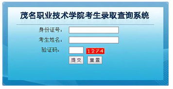 學(xué)考錄取結(jié)果陸續(xù)揭曉，信息技術(shù)咨詢服務(wù)助力考生把握未來(lái)